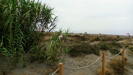 Playa las Dunas playa