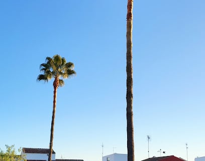 fotografía  Plaza De La Granja