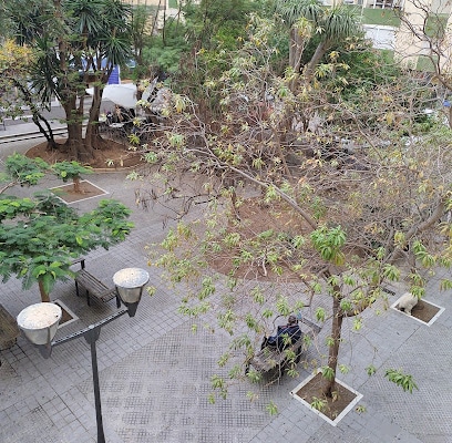 fotografía  Plaza Pintor Clemente de Torres Parque en Cádiz