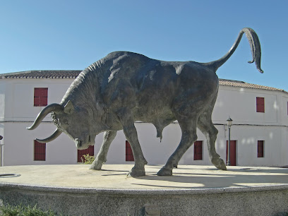 fotografía  Plaza de Toros de San Roque Plaza de toros en San Roque