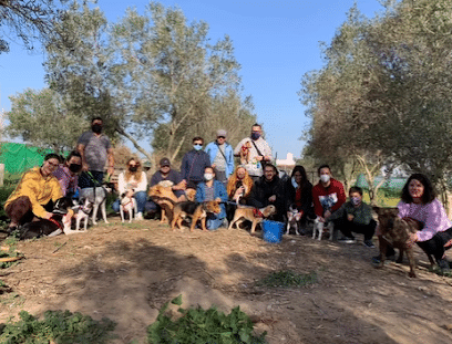 fotografía Protectora Patas El Puerto Refugio para animales en El Puerto de Sta María