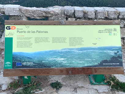 Puerto de Las Palomas Mirador