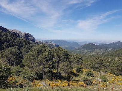 fotografía Puerto del Boyar Atracción turística en Grazalema