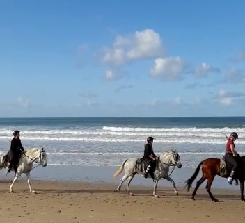 fotografía  Reiterferien Andalusien Cortijo Que Cosita Servicio de paseo a caballo en Conil de la Frontera