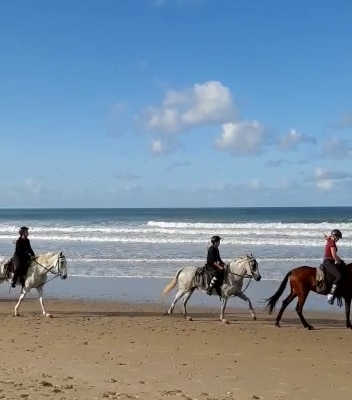 fotografía  Reiterferien Andalusien Cortijo Que Cosita Servicio de paseo a caballo en Conil de la Frontera