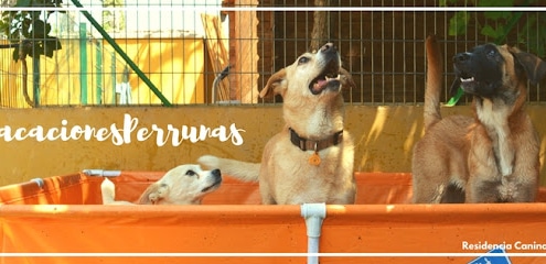 Residencia Canina Dog House Guardería canina