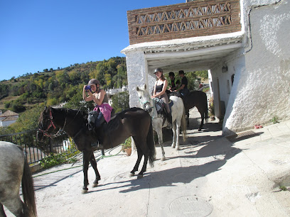 Riding Andalucia Servicio de paseo a caballo