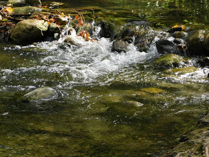 fotografía  Ruta Río Majaceite Zona de senderismo en El Bosque