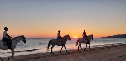 fotografía  Rutas a Caballo Tarifa Atracción turística en Tarifa