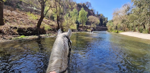 Rutas a caballo Turismo Activo Entre Montañas Servicio de paseo a caballo