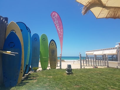 fotografía  SUNSET SURF EL PALMAR. Surf School & Shop Escuela de surf en El Palmar de Vejer