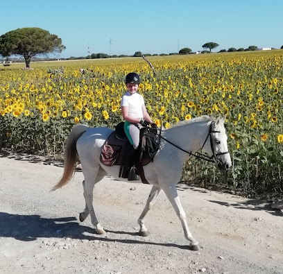 fotografía  Senderalia Ecuestre Servicio de paseo a caballo en Puerto Real