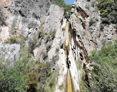 Sendero Cascada de los Árboles Petrificados Zona de senderismo