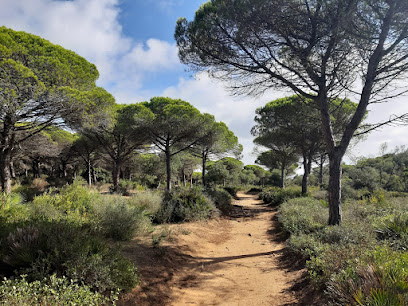 fotografía  Sendero Las Breñas Zona de senderismo en Barbate