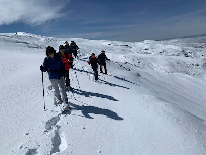 Sierra Nevada Natural Consultora medioambiental