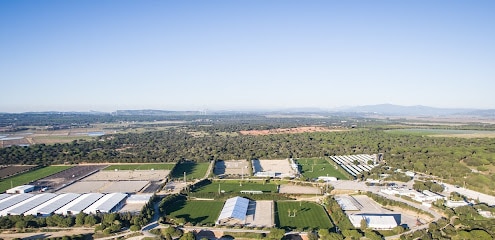 fotografía Sunshine Tour - Circuito Hípico del Sol Centro deportivo en Vejer de la Frontera