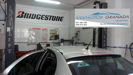 TALLERES TODOMOTOR GRANADA Taller de automóviles