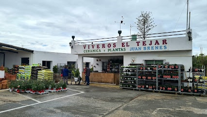 fotografía  Viveros El Tejar Vivero en Conil de la Frontera