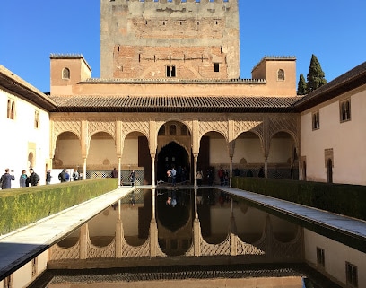 Volare Granada Agencia de visitas turísticas