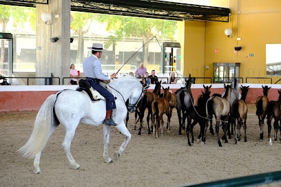 fotografía  Yeguada Cartuja Hierro del Bocado Criador de caballos en Jerez de la Frontera