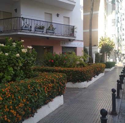fotografía  Yolanda Calle Peluquería Peluquería en Cádiz
