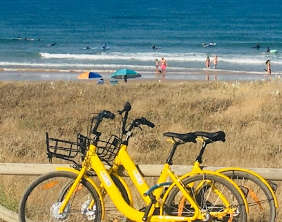 fotografía  bicitruck Servicio de alquiler de bicicletas en Vejer de la Frontera