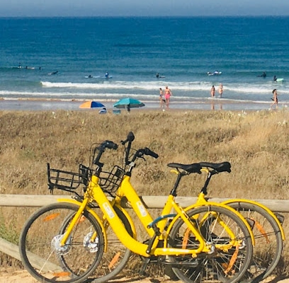 fotografía  bicitruck Servicio de alquiler de bicicletas en Vejer de la Frontera