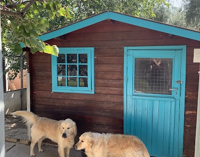 "Las Chiveas" Guardería canina